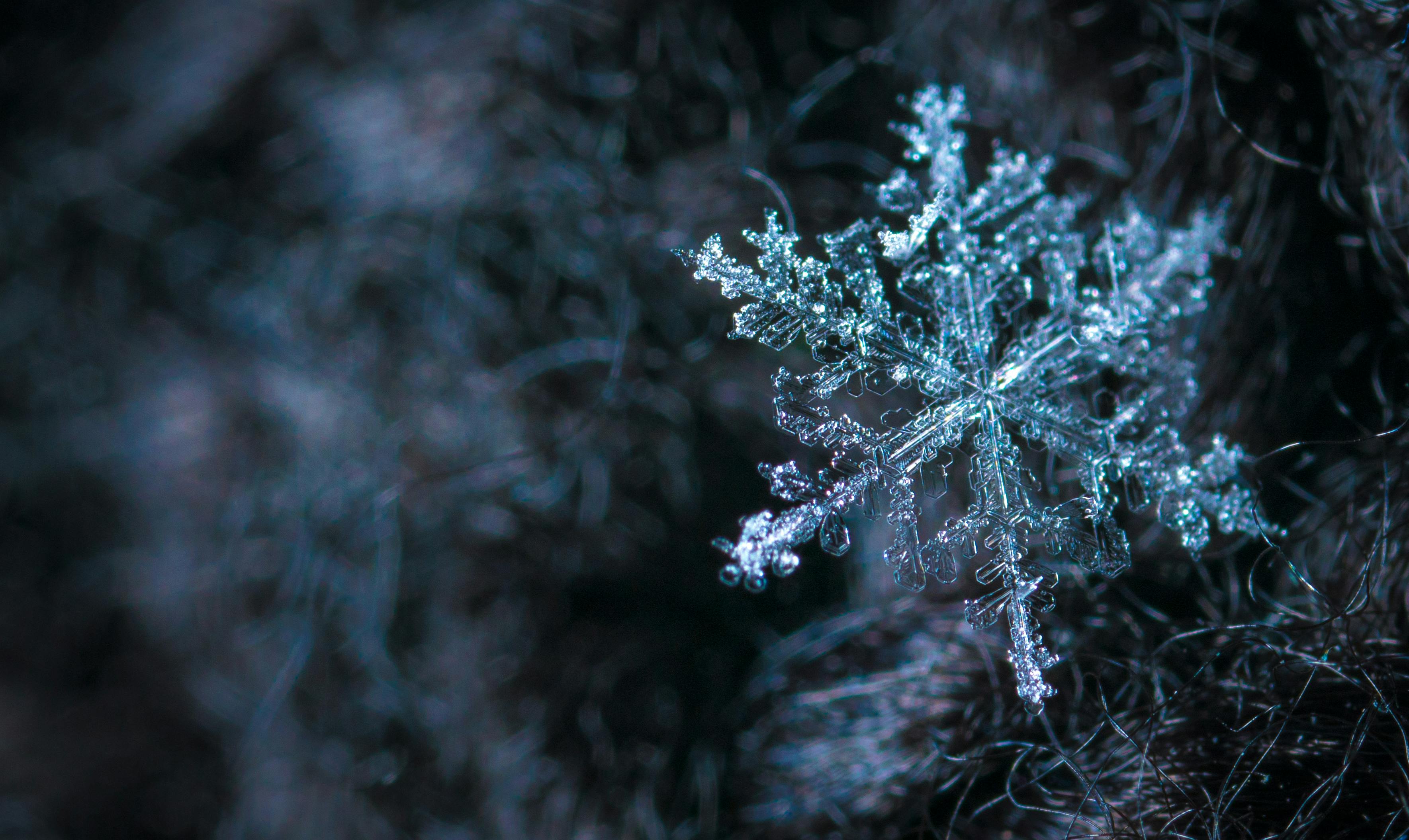Pregatirea esentiala a autovehiculului pentru sezonul rece: Ghidul Soferului Responsabil Intricate close-up of a snowflake showcasing its frosty crystalline structure in a winter setting.